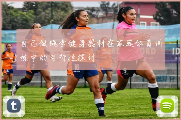 自己做绳索健身器材在家庭体育训练中的可行性探讨