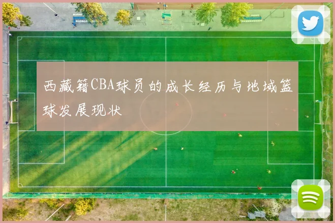 西藏籍CBA球员的成长经历与地域篮球发展现状