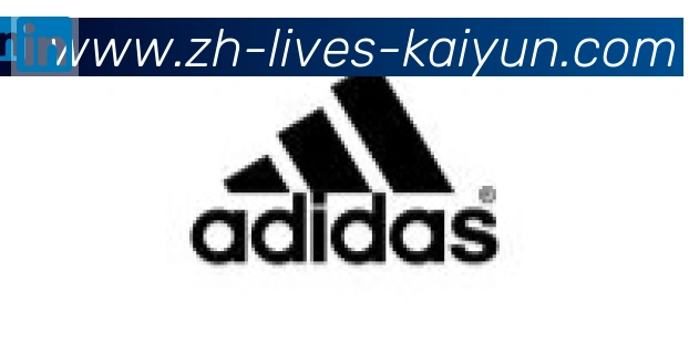 开云APP合作伙伴